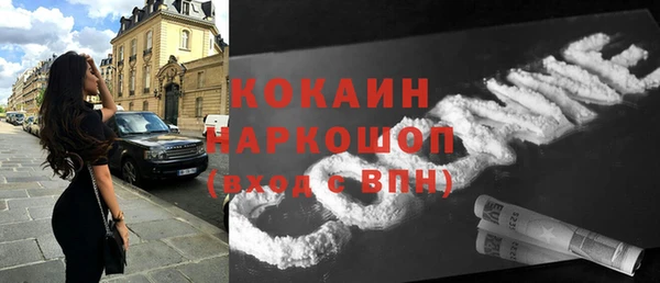 сатива Кодинск