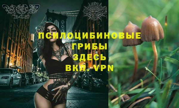 сатива Кодинск